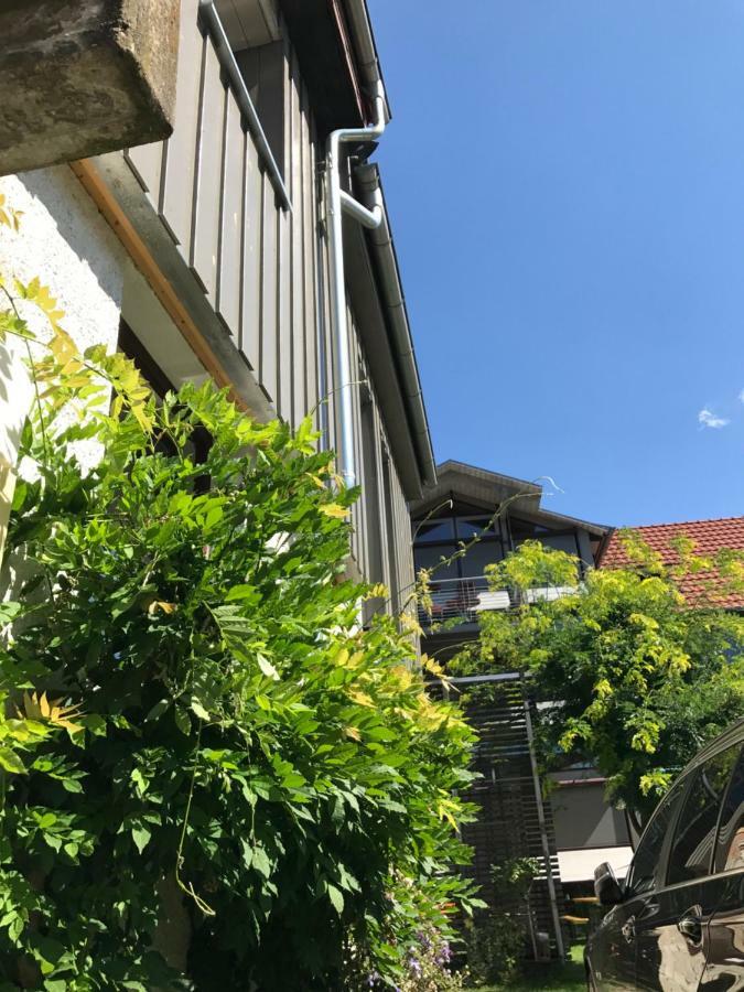 Blackbird'S Nest Wiesenbronn Extérieur photo